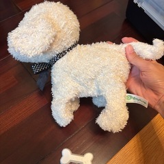 犬のおもちゃの画像