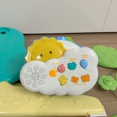 プーメリーの画像