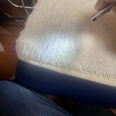 レーザーポインター
の画像