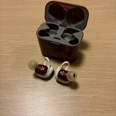 AVIOT TE-D01d Bluetoothイヤホンの画像