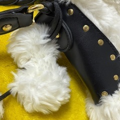 ⭐️超美品⭐️UNTITLED ファーバッグの画像