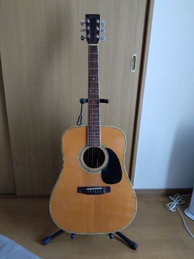 スズキバイオリン製スリーエスアコギW250