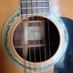 スズキバイオリン製スリーエスアコギW250の画像