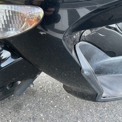 マジェスティ4D9の画像