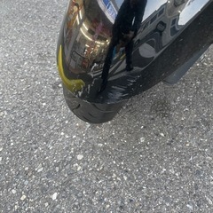 マジェスティ4D9の画像