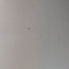 ニトリの折りたたみローテーブル/取りに来ていただける方のみ/23日終日可能の画像