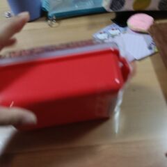 セリア　ドーム型弁当箱の画像