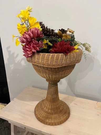 観葉植物　ディスプレイ籠カゴ