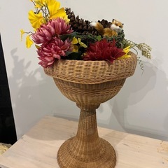 ディスプレイ観葉植物ドライフラワー籠の画像