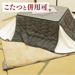 ホットカーペットの画像