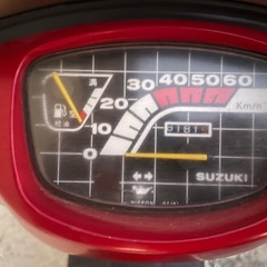 SUZUKI（スズキ）蘭の画像