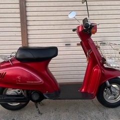 SUZUKI（スズキ）蘭の画像