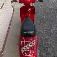 SUZUKI（スズキ）蘭の画像