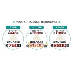 ボディシェイカープロ　シャンパンゴールドの画像