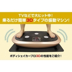 ボディシェイカープロ　シャンパンゴールドの画像