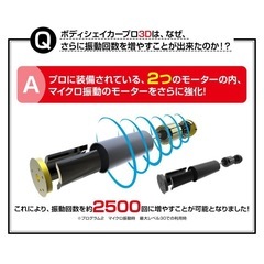 ボディシェイカープロ　シャンパンゴールドの画像