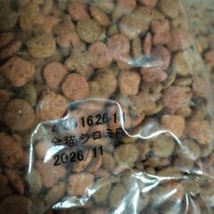 銀のスプーン　小分けパック2袋　750グラムの画像