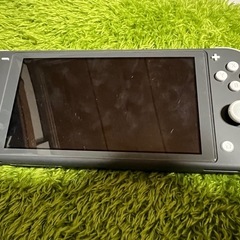 Nintendo Switch lightの画像
