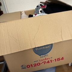 レディース服　の画像