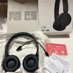 SONY ヘッドフォン
の画像