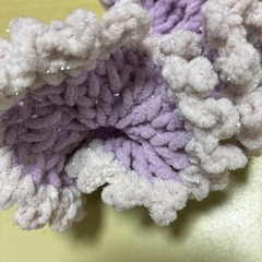 シュシュの画像