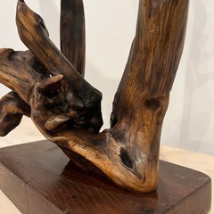 流木　ディスプレイ　置物の画像