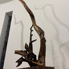 流木　ディスプレイ　置物の画像