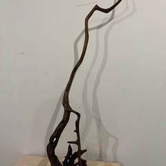 流木　ディスプレイ　置物の画像