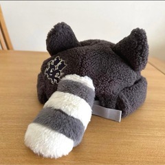 ディズニー　被り物2点（カチューシャ 海底2万マイル／ロストキッズ アライグマ ファンキャップ） の画像