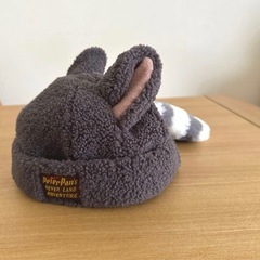 ディズニー　被り物2点（カチューシャ 海底2万マイル／ロストキッズ アライグマ ファンキャップ） の画像