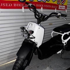 塗装済‼️美車✨タイヤ新品　ズーマー　ホンダ　AF58AF58の画像