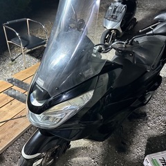pcx jf56の画像