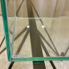 水槽　GEX アクアリウム　メダカ　熱帯魚の画像