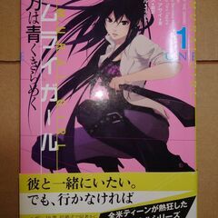 たくさんの小説　他の有料商品とまとめて取引の場合、優先的に取引します。　11月24日に限り、別途料金なしで秋葉原駅、渋谷駅、御茶ノ水駅でも取引できますの画像