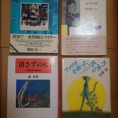 たくさんの小説　他の有料商品とまとめて取引の場合、優先的に取引します。　11月24日に限り、別途料金なしで秋葉原駅、渋谷駅、御茶ノ水駅でも取引できますの画像