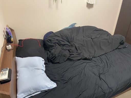 ダブルマットレス(NスリープハードH3-02CR VH)フレームもセット