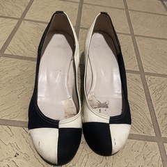 モノクロパンプスの画像