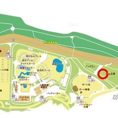 小中学生の陸上教室！入会金無料✨の画像