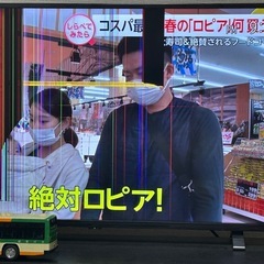 ジャンク品　REGZAの画像