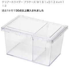 ダイオウヒラタクワガタ値下げの画像