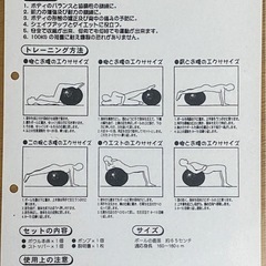 マルシン産業　イボイボバランスボール　(取説・空気入れ付き)の画像