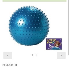 マルシン産業　イボイボバランスボール　(取説・空気入れ付き)の画像