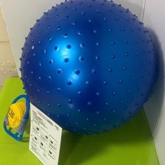 マルシン産業　イボイボバランスボール　(取説・空気入れ付き)の画像