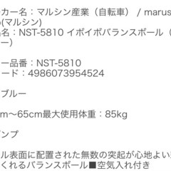 マルシン産業　イボイボバランスボール　(取説・空気入れ付き)の画像