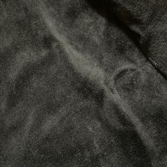 電熱へベストの画像