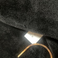 電熱へベストの画像