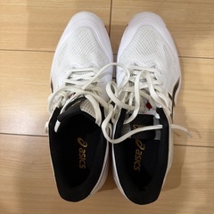 バレー用しゅーずシューズの画像