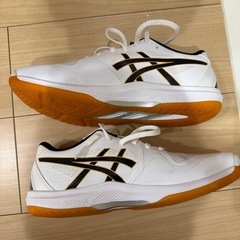 バレー用しゅーずシューズの画像