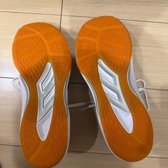 バレー用しゅーずシューズの画像