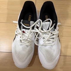 バレー用しゅーずシューズの画像